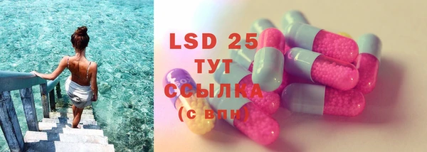 прущие грибы Алексеевка